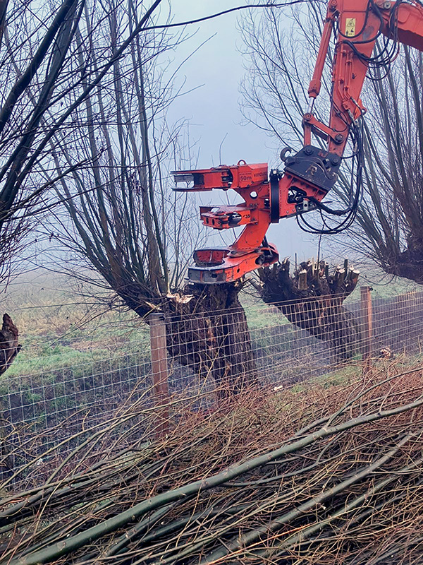Machinaal wilgen knotten