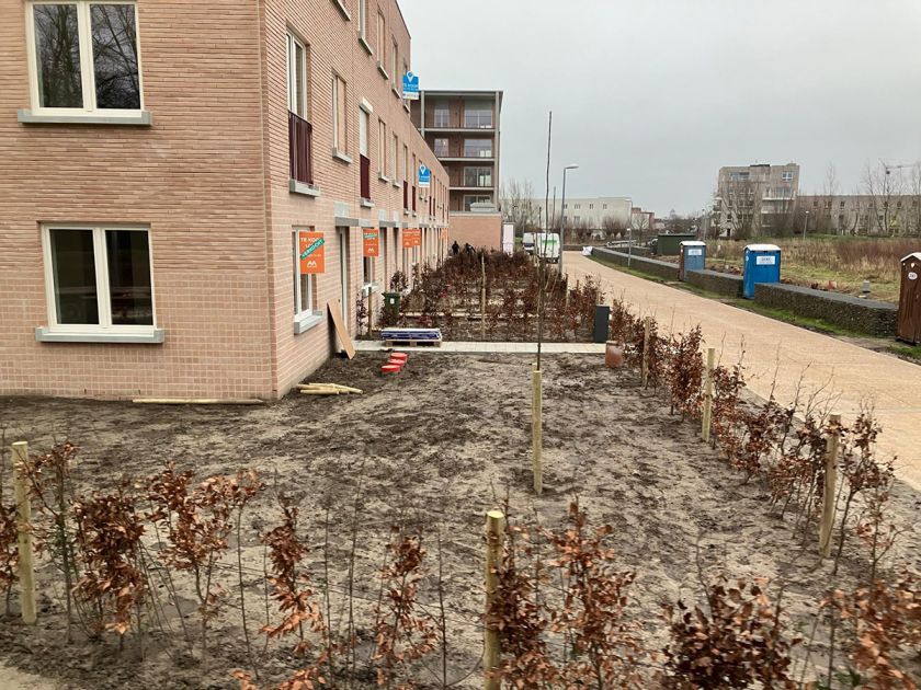 Tuinen in nieuwe verkaveling aanleggen